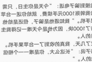丽江市A片产业的新趋势：市场结构与未来潜力