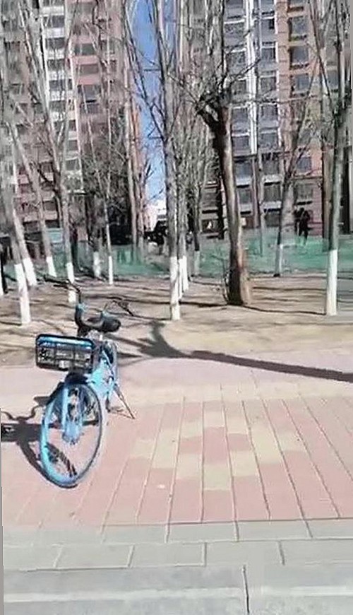 红桃视频官方版下载:探索中国影视的多彩世界