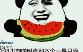 已满十八在线观看高清电视剧推荐免费版:珠海市人物动态与影视趋势