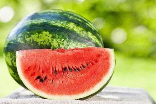 探秘人动物高清免费观看普通话官方版：宿迁市最新在线观看平台解析
