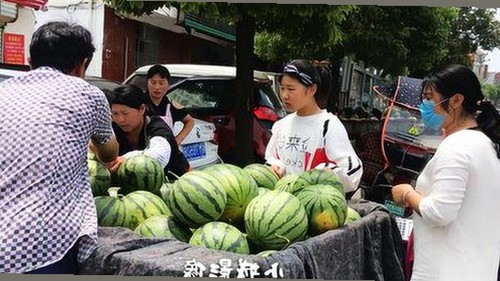 91香蕉视频免费版官方版：榆林市最新体验详解