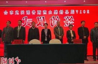 麻豆视频在线播放官方版：轻松畅享高清大片体验