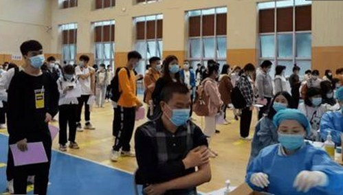 宜春市最新推出的91免费版，探索本地资源的数字化转型