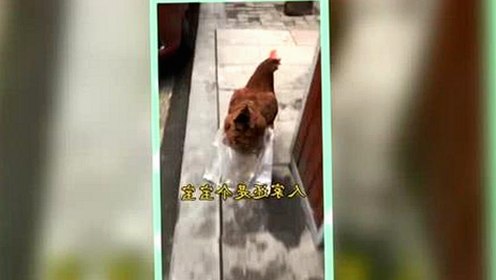 最新消息：嫩草17.c 91免费版下载引发热议，安全性备受关注
