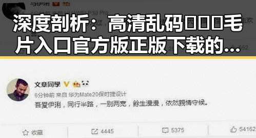 深度剖析：高清乱码🔞❌♋毛片入口官方版正版下载的现状与未来