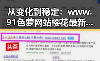 从变化到稳定：www.91色 萝网站樱花最新版的现状与发展