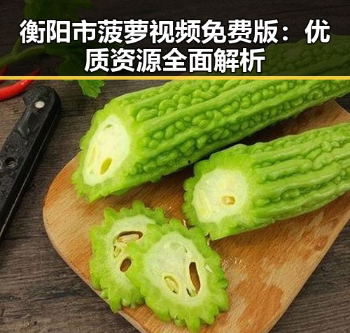 衡阳市菠萝视频免费版:优质资源全面解析