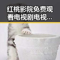 红桃影院免费观看电视剧电视剧高清与免费版:最新观看体验全解析