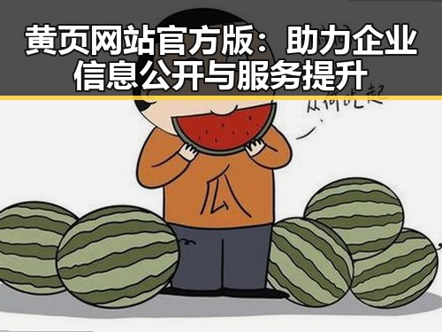 黄页网站官方版：助力企业信息公开与服务提升