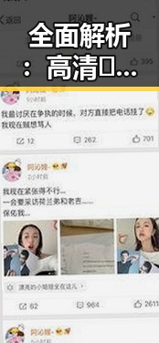 全面解析:高清🈚码🔞❌♋免91最新版下载的最新动态与风险