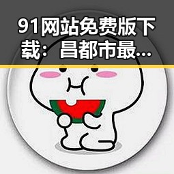 91网站免费版下载：昌都市最佳免费资源获取指南