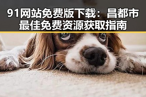 91网站免费版下载：昌都市最佳免费资源获取指南