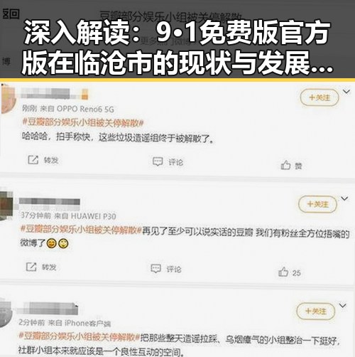 深入解读:9·1免费版官方版在临沧市的现状与发展趋势