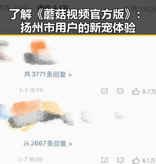 了解《蘑菇视频官方版》：扬州市用户的新宠体验