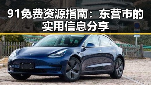 91免费资源指南：东营市的实用信息分享