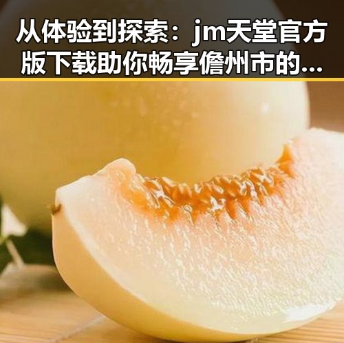 从体验到探索:jm天堂官方版下载助你畅享儋州市的数字娱乐新体验