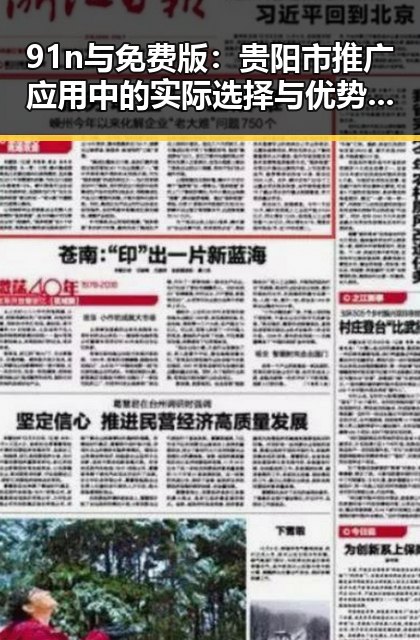 91n与免费版:贵阳市推广应用中的实际选择与优势分析
