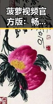 菠萝视频官方版:畅享优质内容的全新体验