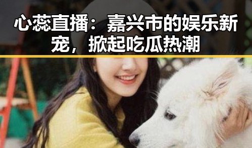 心蕊直播：嘉兴市的娱乐新宠，掀起吃瓜热潮