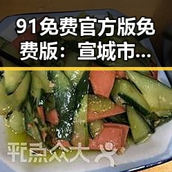 91免费官方版免费版：宣城市用户的最新选择