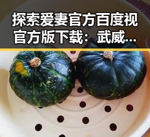 探索爱妻官方百度视官方版下载：武威市用户的新选择