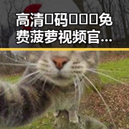 高清🈚码🔞❌♋免费菠萝视频官方版下载：安全无忧的在线观看视频体验