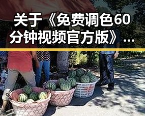 关于《免费调色60分钟视频官方版》的详细介绍