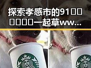 探索孝感市的91🍆🍑🔞❌❌❌一起草wwwcom17免费版资源