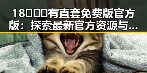 18❌❌❌有直套免费版官方版：探索最新官方资源与免费体验