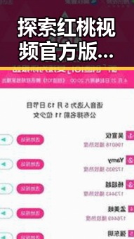 探索红桃视频官方版：铁岭市用户的最新体验与反馈