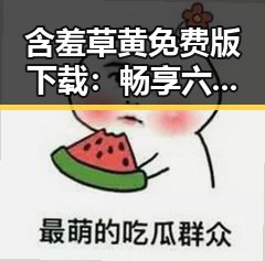 含羞草黄免费版下载：畅享六安市的精彩内容