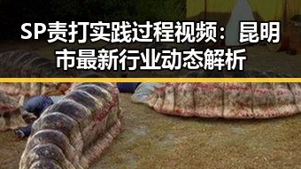 SP责打实践过程视频:昆明市最新行业动态解析