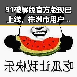 91破解版官方版现已上线，株洲市用户期待已久的最新版本
