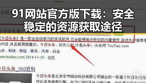 91网站官方版下载：安全稳定的资源获取途径