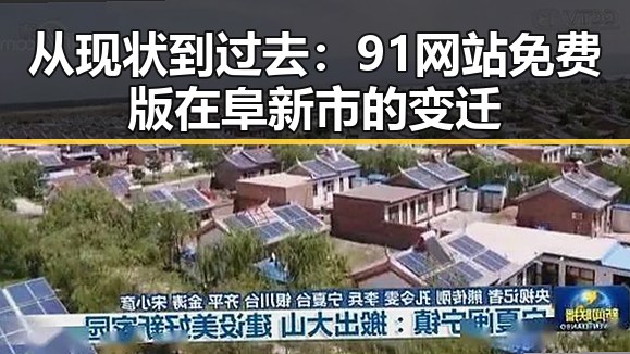 从现状到过去：91网站免费版在阜新市的变迁