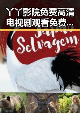 丫丫影院免费高清电视剧观看免费版：轻松追剧新体验
