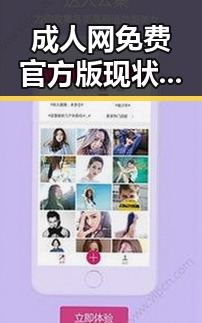 成人网免费官方版现状解析：怀化市的用户体验与发展趋势