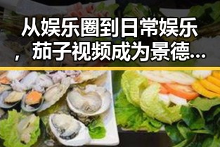 从娱乐圈到日常娱乐，茄子视频成为景德镇市居民新宠