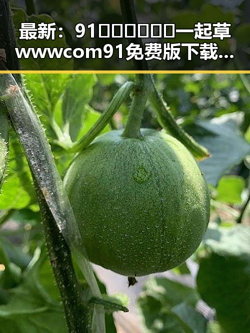 最新：91🍆🍑🔞❌❌❌一起草wwwcom91免费版下载现已火热上线