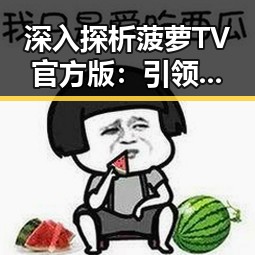 深入探析菠萝TV官方版:引领汉中市在线视频新潮流