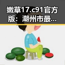 嫩草17.c 91官方版：潮州市最新热门资源解析