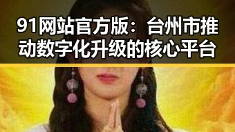 91网站官方版：台州市推动数字化升级的核心平台