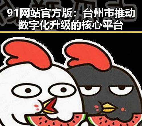 91网站官方版：台州市推动数字化升级的核心平台