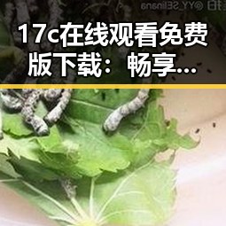 17c在线观看免费版下载：畅享高清影视体验的便捷途径
