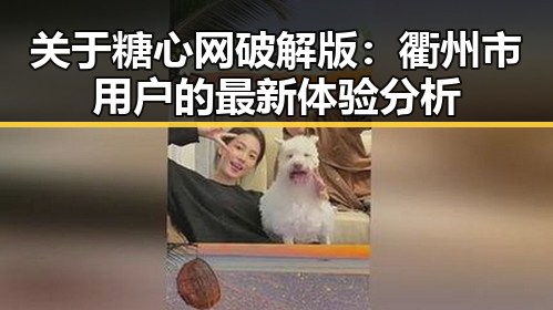 关于糖心网破解版：衢州市用户的最新体验分析
