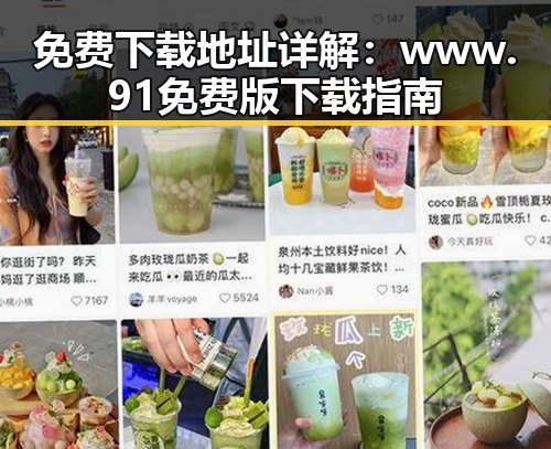 免费下载地址详解:www.91免费版下载指南