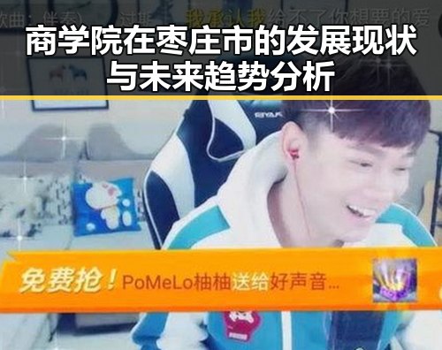 商学院在枣庄市的发展现状与未来趋势分析
