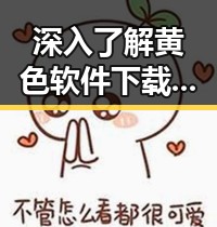 深入了解黄色软件下载官方版：安全、稳定的首选