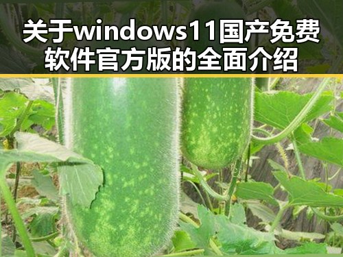 关于windows11国产免费软件官方版的全面介绍