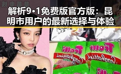 解析9·1免费版官方版：昆明市用户的最新选择与体验